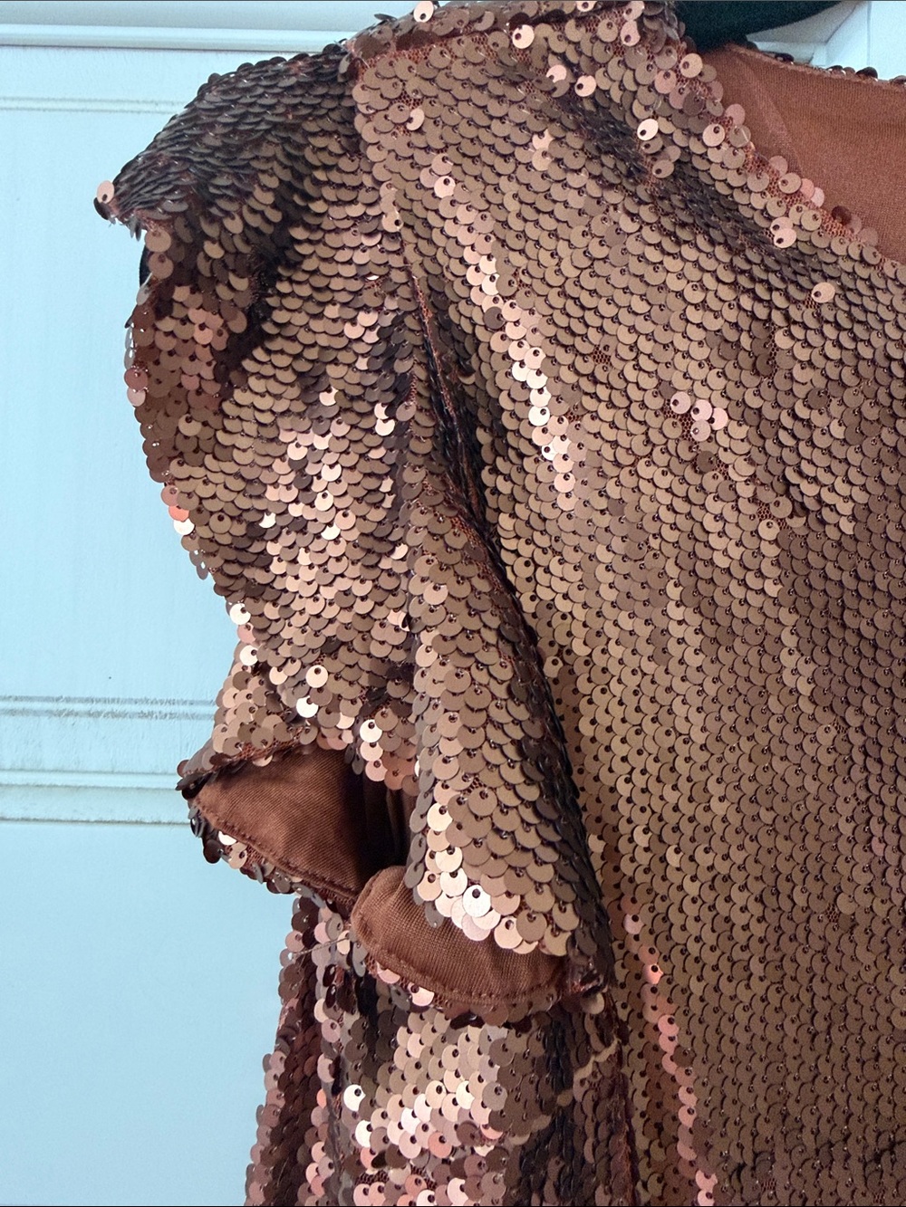 TCEC Rose Gold Sequin Shift Dress - Picture 4 of 4